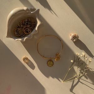 Alex and Ani You Are My Sunshine Charm Bangle